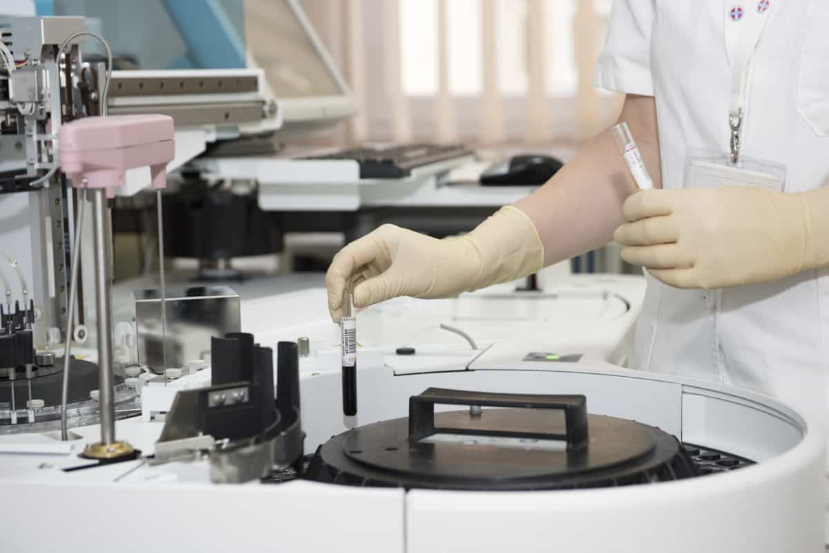 Un startup din Silicon Valley dezvoltă copaci revoluționari pentru a lupta împotriva schimbărilor climatice Un startup din Silicon Valley dezvoltă copaci revoluționari pentru a lupta împotriva schimbărilor climatice