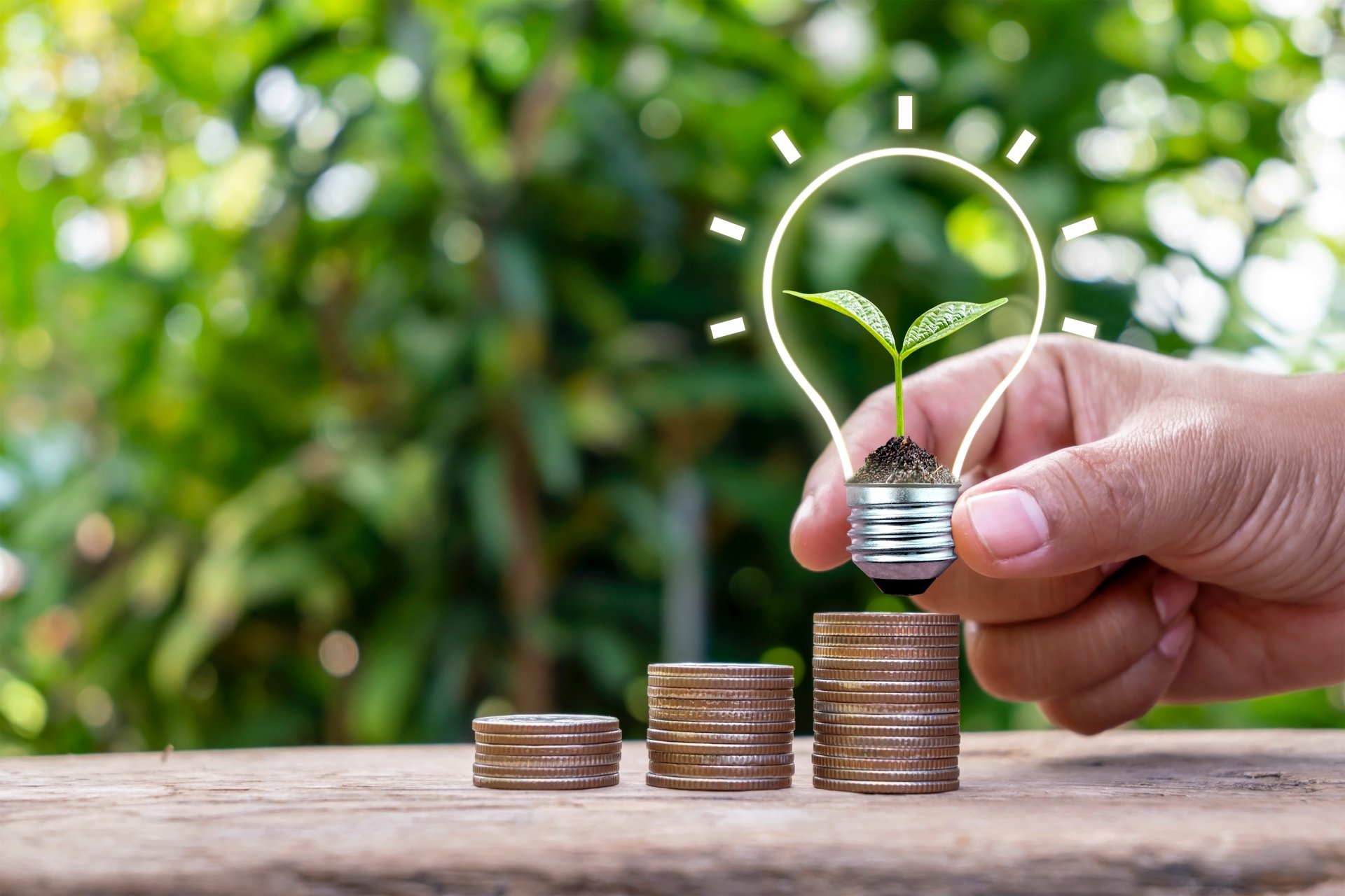 De Ce Să-ți Bați Capul Pentru A Economisi Inteligent? (P) De Ce Să-ți Bați Capul Pentru A Economisi Inteligent?