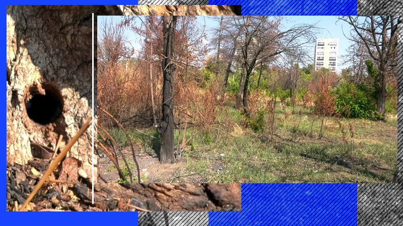 Liberalii din Sectorul 3 au început o acțiune de monitorizare a celor 11 hectare de teren retrocedate din Parcul IOR