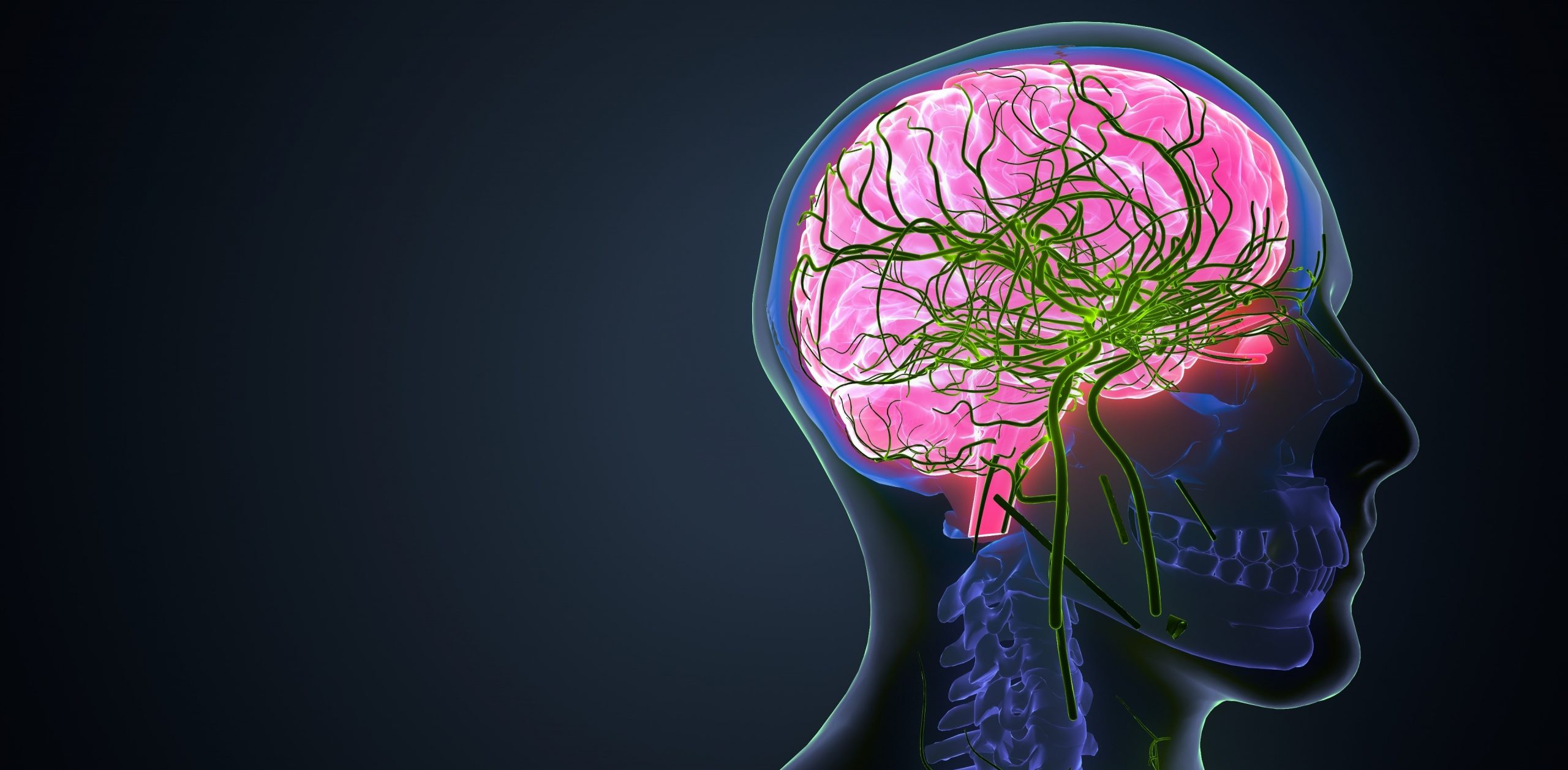 Ce se întâmplă cu creierul tău când îmbătrânești? Descoperirea neurologilor străini