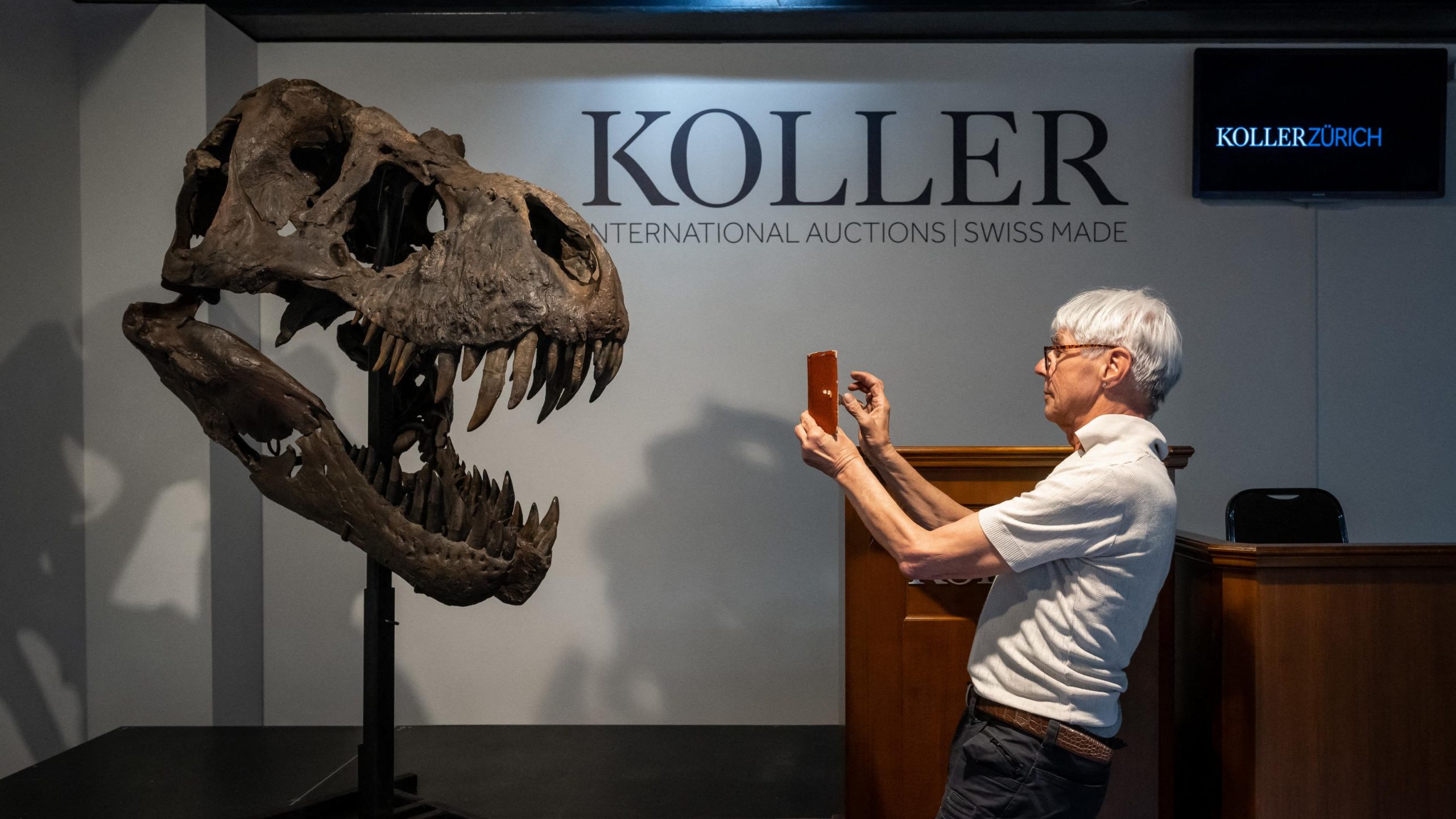 Fosila unui tiranozaur veche de 75 de milioane de ani a fost descoperită. Care a fost ultima sa masă