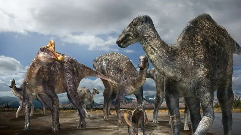 Un bărbat a găsit un schelet de dinozaur pe o plajă din Franța Un bărbat a găsit un schelet de dinozaur pe o plajă din Franța