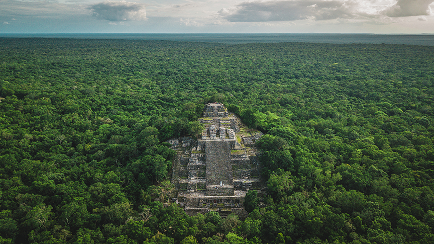 Descoperirile anului 2024
