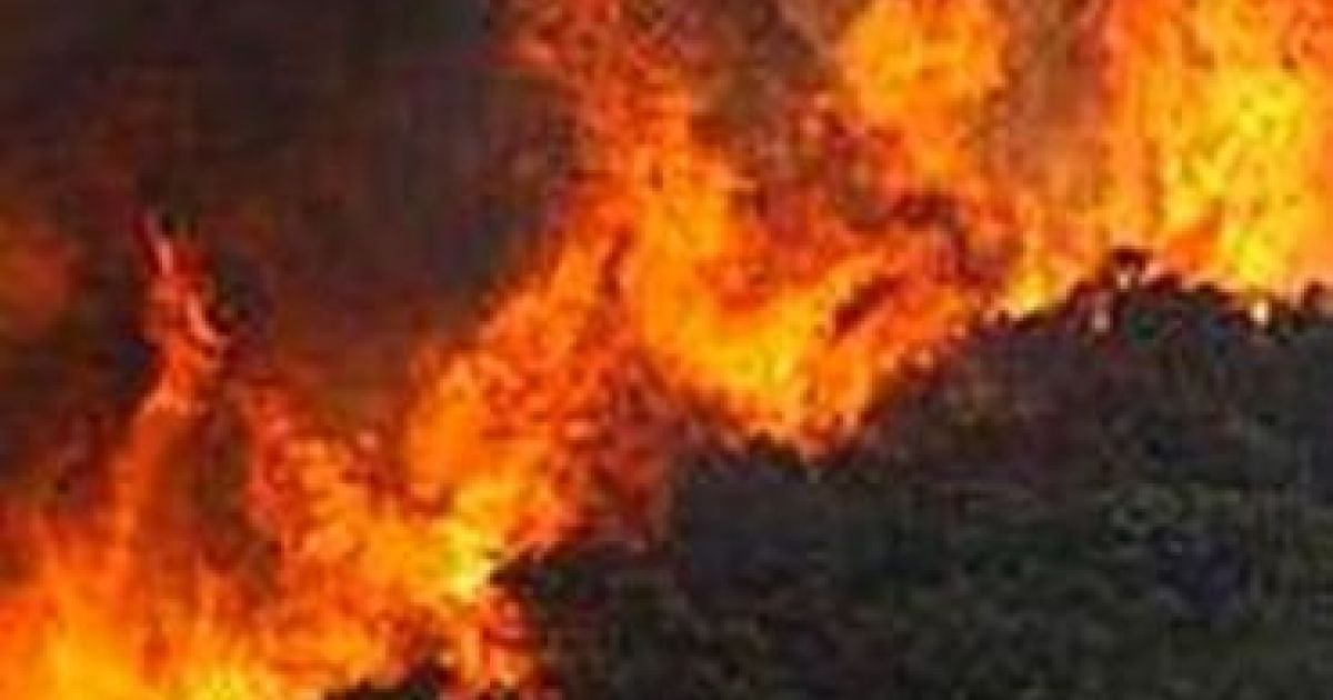 Incendiu masiv în Los Angeles. S-a declarat stare de urgenţă şi peste 30.000 de persoane au fost evacuate