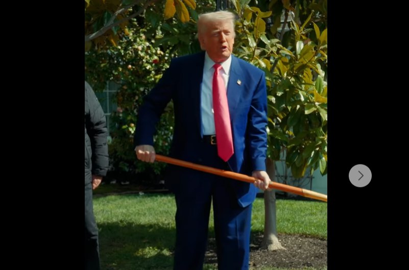 Donald Trump a plantat la Casa Albă un arbore pe care l-a numit „MAGAnolia”. Groapa a fost făcută cu o lopată din aur