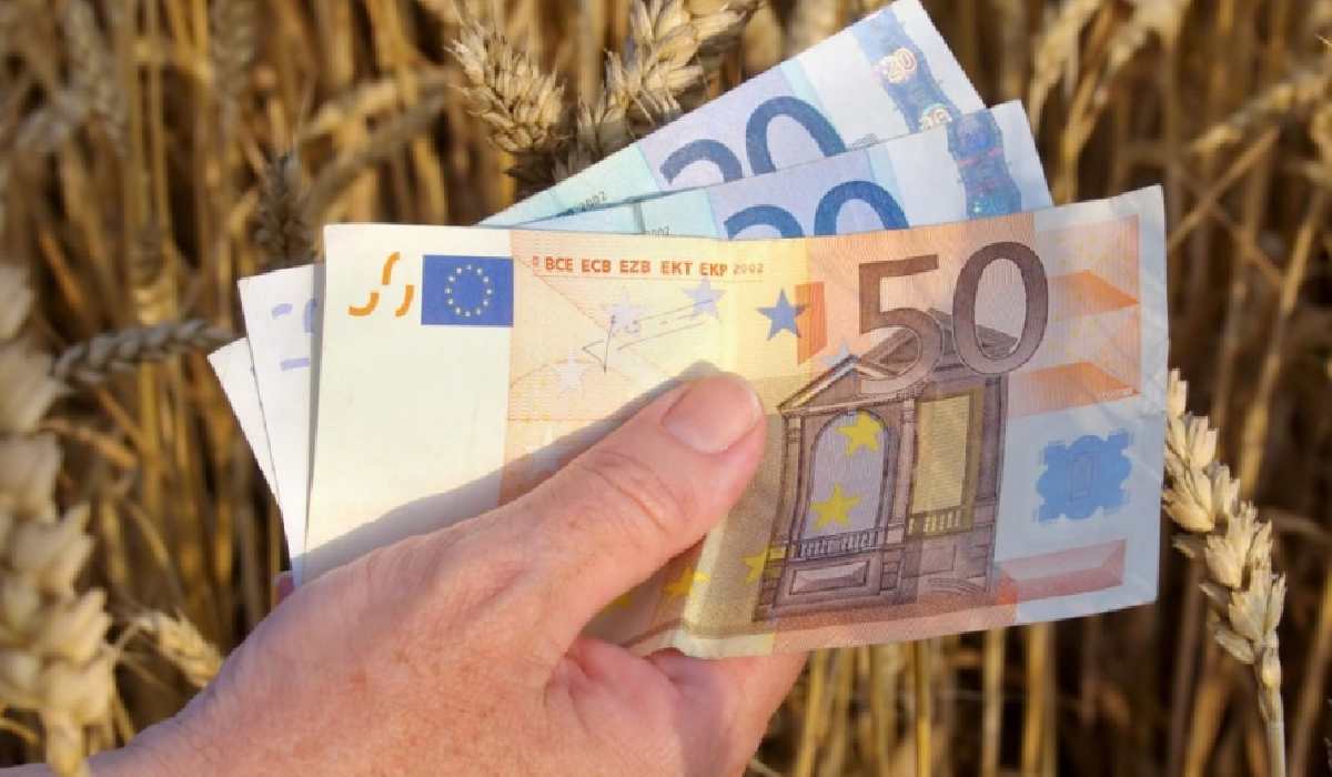 Micii fermieri vor fi ajutați cu 50.000 de euro din 2026. Cine se încadrează
