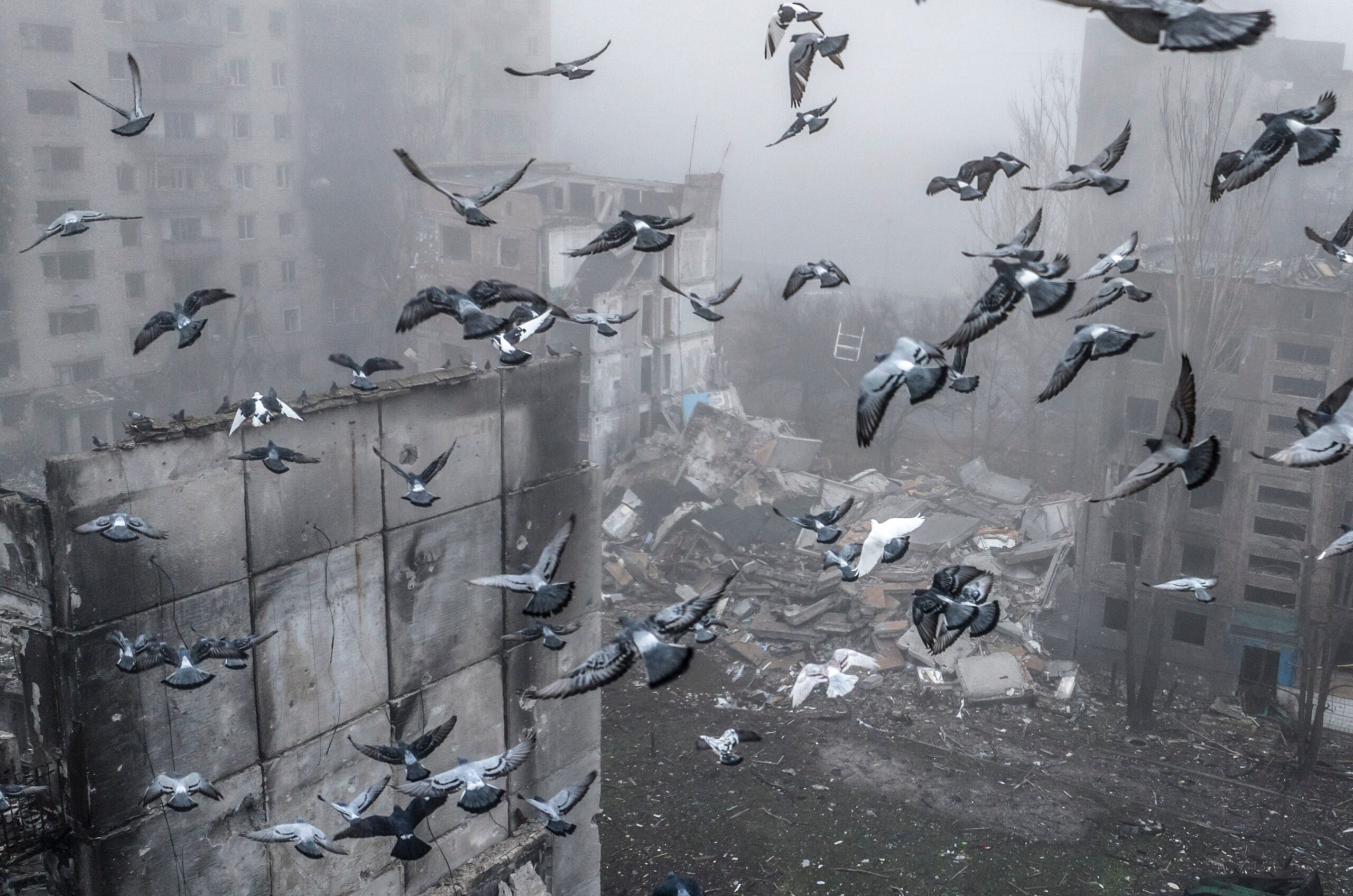 Soldații ucraineni din prima linie, despre planul de pace al SUA: „Băieții noștri sunt în tranșee. Ei au dreptul să decidă”