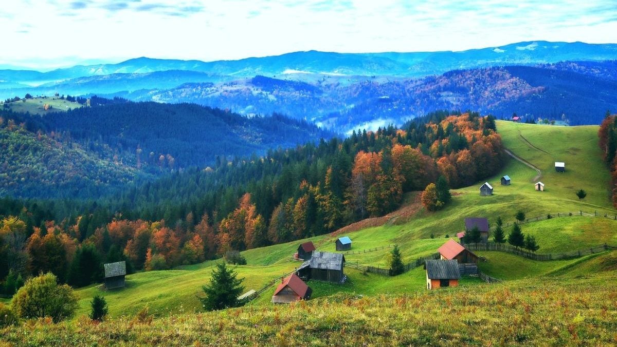 Romsilva pregătește un proiect-pilot pentru transformarea cabanelor sale într-un brand turistic Romsilva pregătește un proiect-pilot pentru transformarea cabanelor sale într-un brand turistic