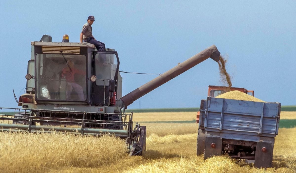 Fabricile de componente auto vor beneficia, agricultura va suferi fără creșterea subvențiilor Fabricile de componente auto vor beneficia, agricultura va suferi fără creșterea subvențiilor