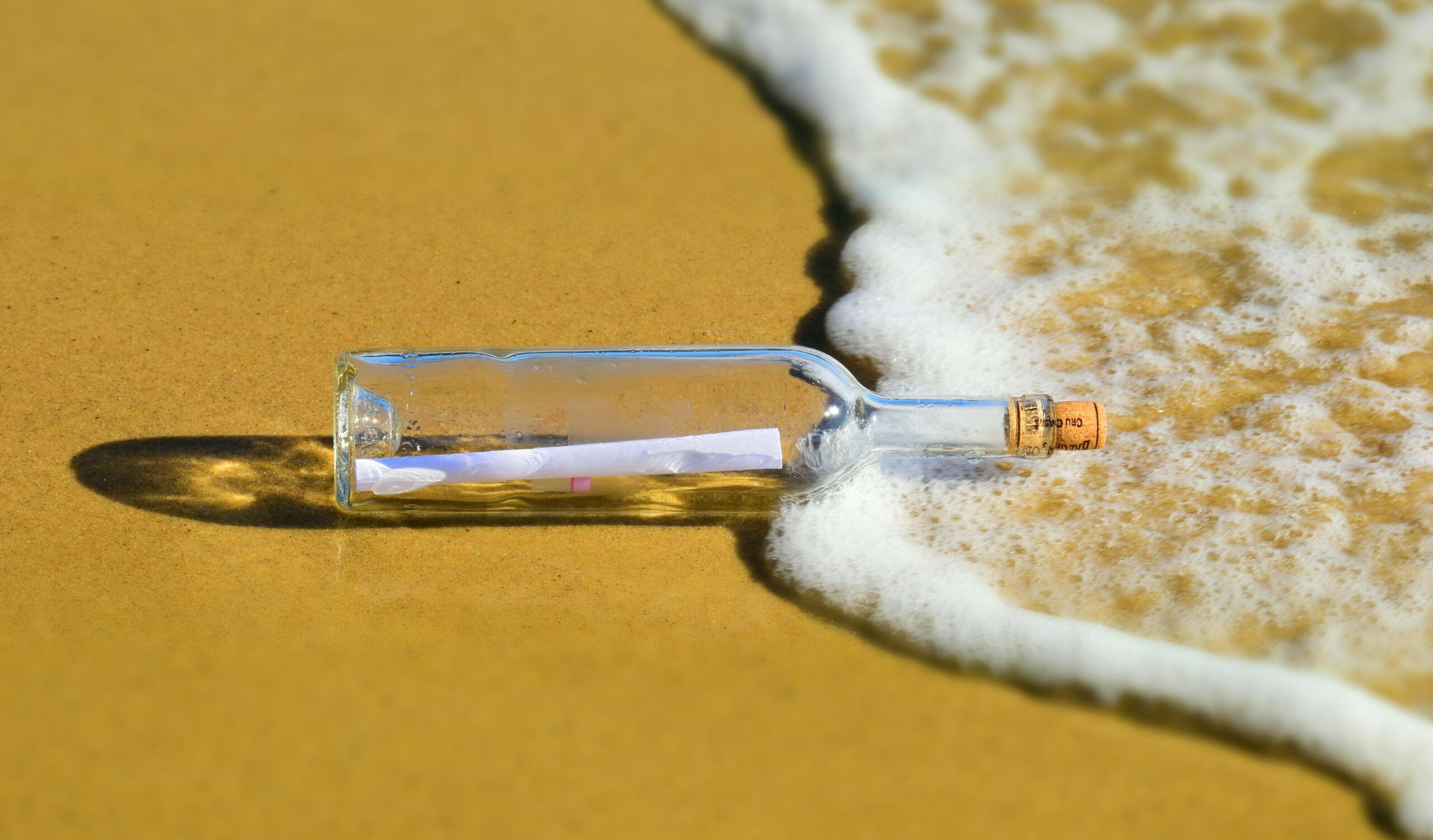 Un mesaj trimis de pe coasta Canadei, într-o sticlă, a „călătorit” 4.300 de kilometri peste Atlantic. Cum a ajuns capsula în lăbuțele unui labrador din Scoția