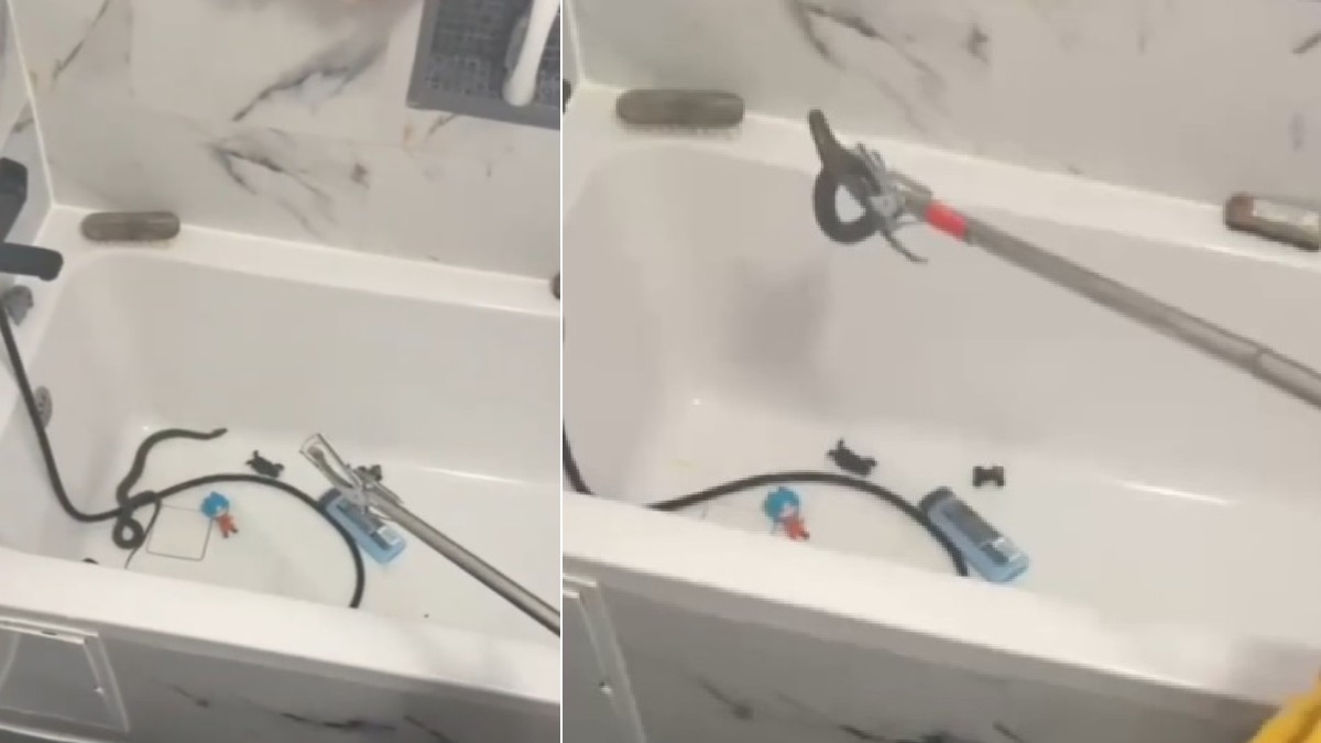 O mamă a găsit un șarpe în cadă în timp ce se pregătea să îi facă baie copilului